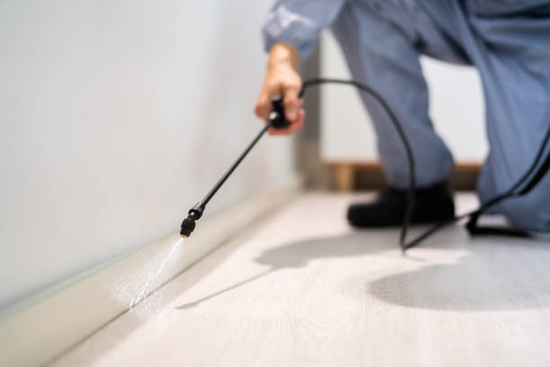 Licensed Pest Control service in Clarksburg, MD - Show Me Pest Control