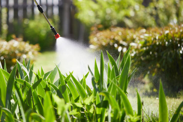 Tamper-Resistant Bait Stations for Rodents in Clarksburg