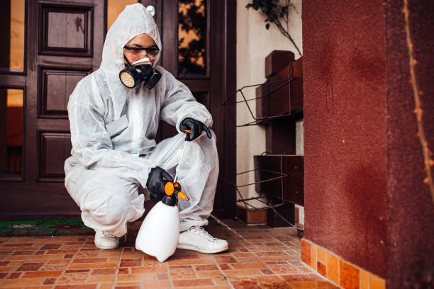 Attic and Crawl Space Rodent Treatment in Clarksburg