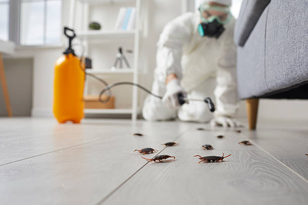 Commercial Rodent Management in Clarksburg
